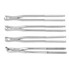 EQUINE DENTAL FORCEPS