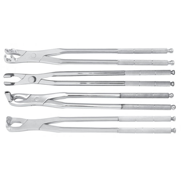 SET OF 4 EQUINE MOLAR FORCEPS