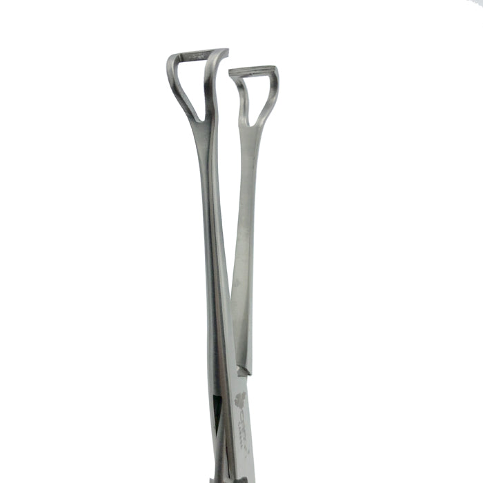 Babcock Tissue Forceps | Cross Instruments