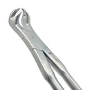 FOUR ROOT EQUINE MOLAR FORCEPS, 19" (48CM)